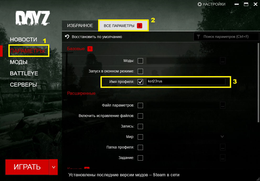 Изменение ника в лаунчере DayZ